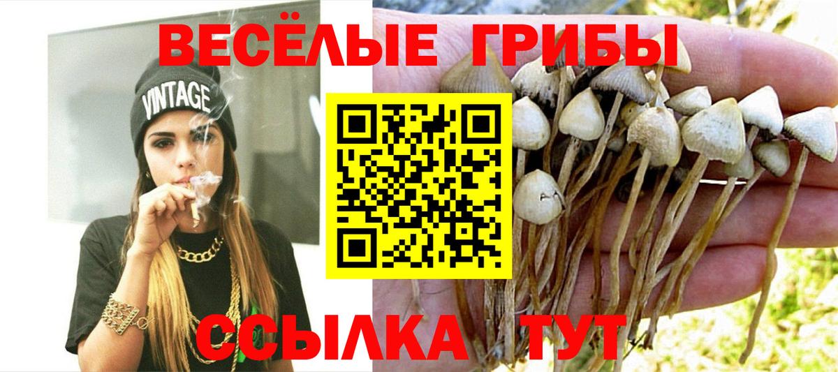Галлюциногенные грибы Cubensis  где продают   Усолье-Сибирское  Вход с VPN 